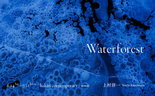 上村洋一 個展 「Waterforest」開催中(hakari contemporary, 京都)